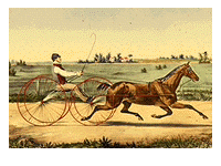 57.gif (44522 bytes)